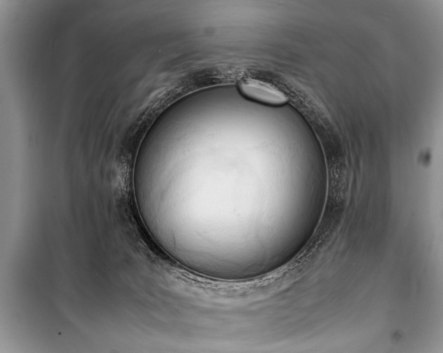 X0000100980035200806241554