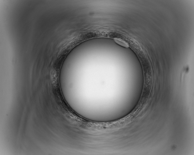 X0000100980037200806241554