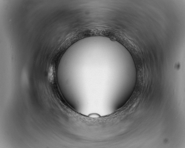 X0000100980038200806241554