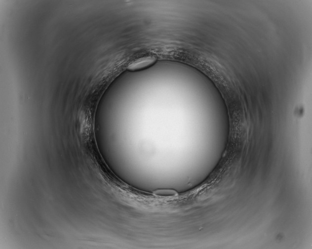 X0000100980040200806241554