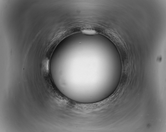 X0000100980041200806241554