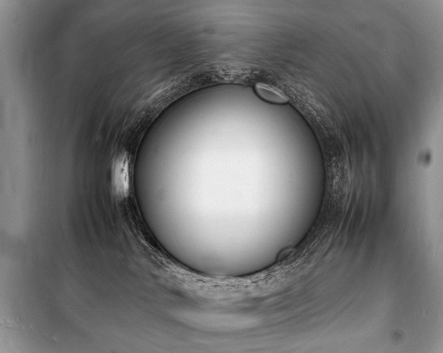 X0000100980042200806241554