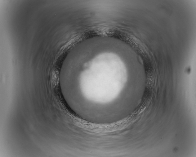 X0000100980043200806241554