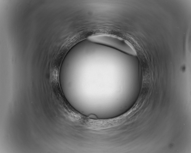 X0000100980045200806241554