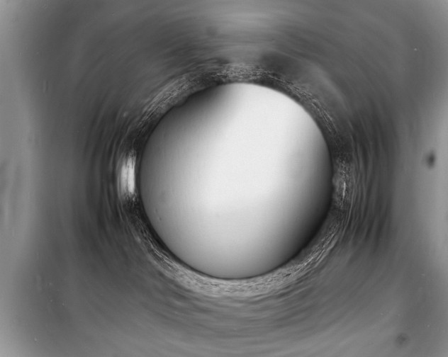 X0000100980046200806241554