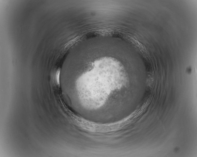 X0000100980047200806241554