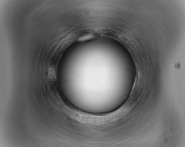 X0000100980048200806241554