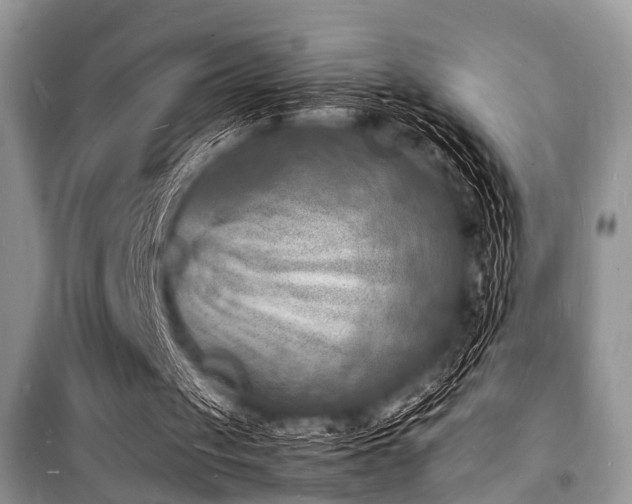 X0000100980049200806241553