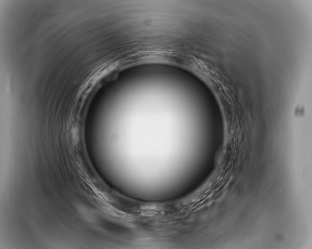 X0000100980050200806241553