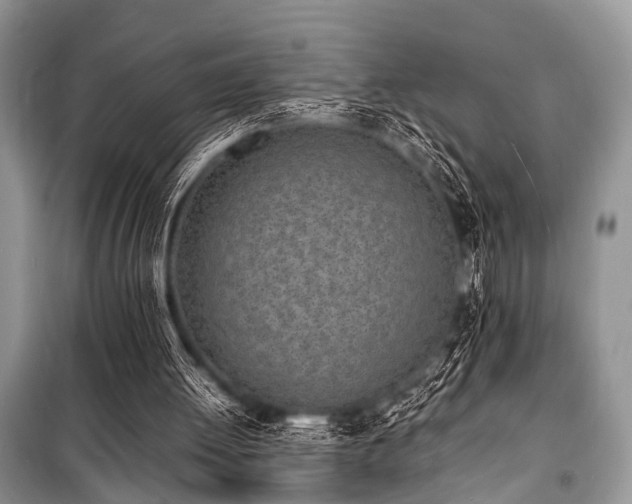 X0000100980052200806241553