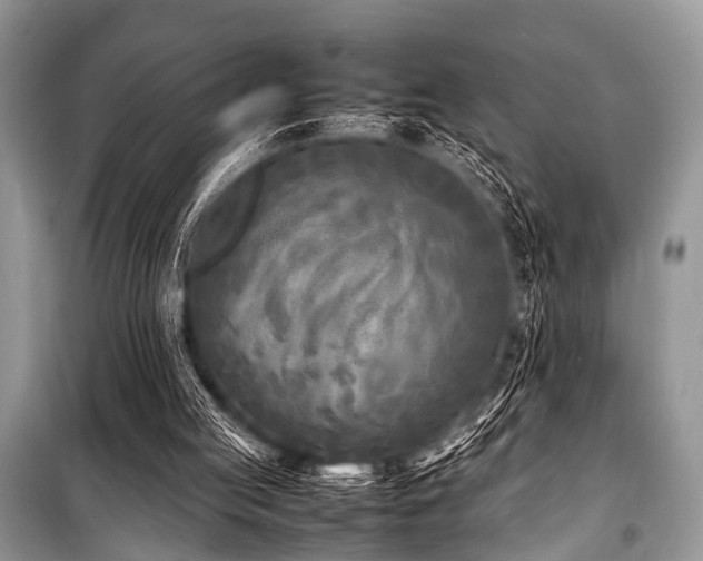 X0000100980053200806241553