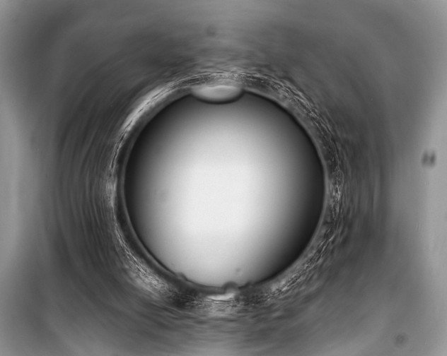 X0000100980054200806241553