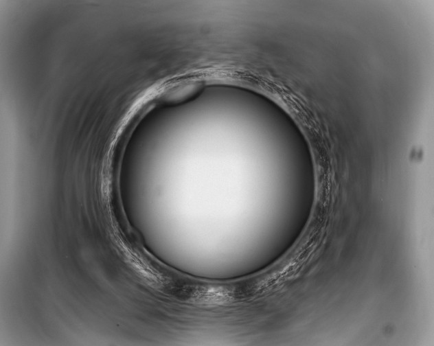 X0000100980056200806241553