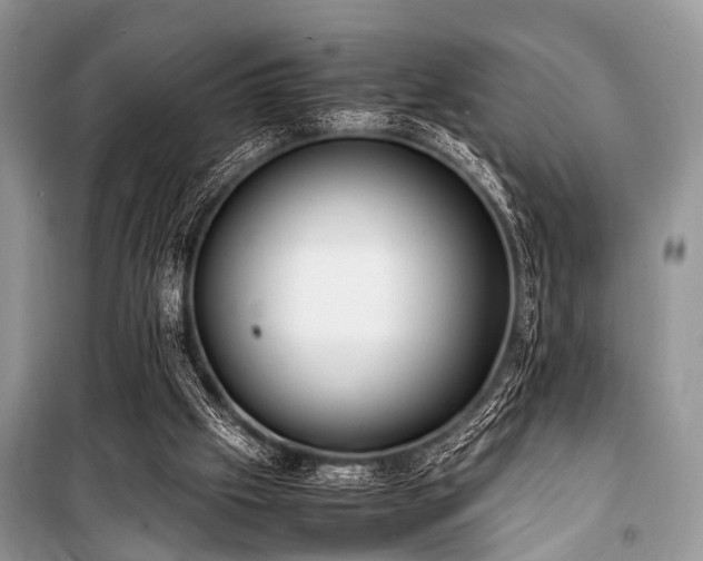 X0000100980057200806241553