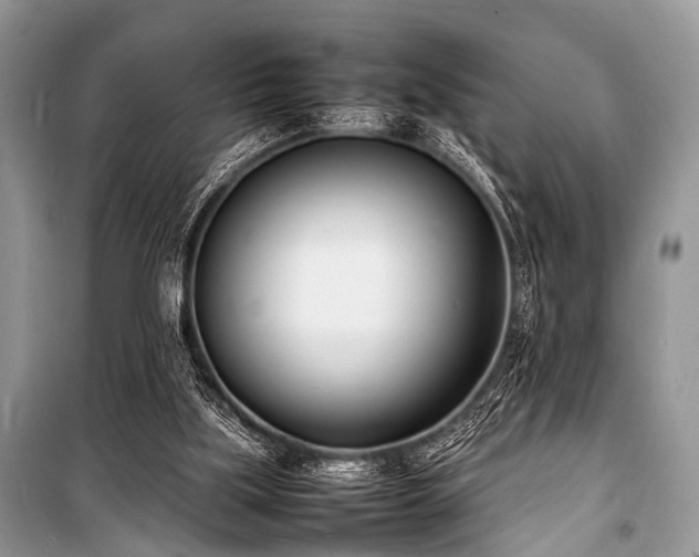 X0000100980059200806241553