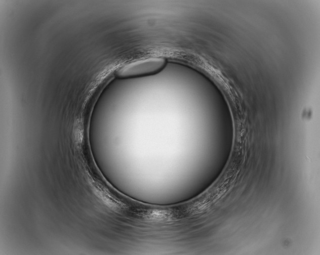 X0000100980060200806241553