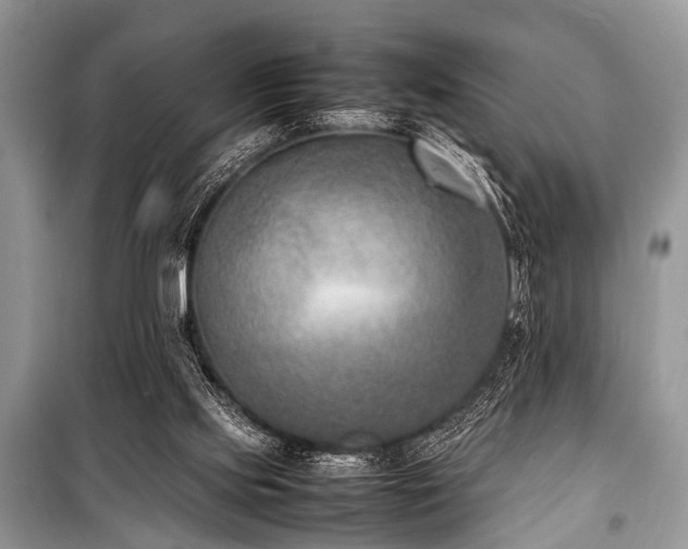 X0000100980061200806241553