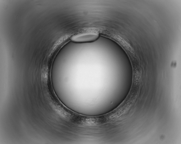 X0000100980064200806241553