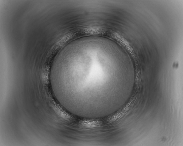 X0000100980065200806241553