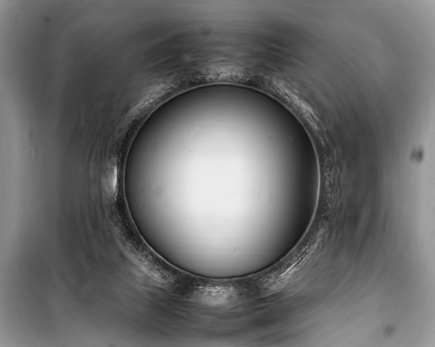 X0000100980067200806241553