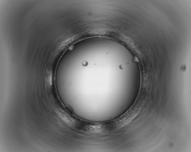 X0000100980068200806241553