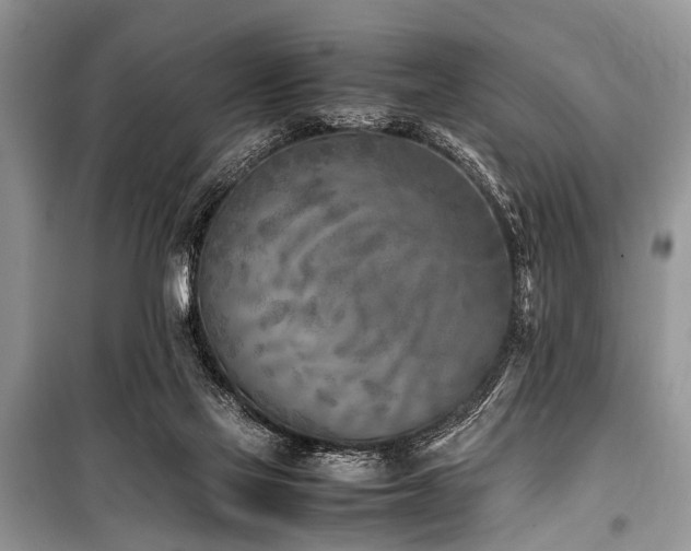 X0000100980069200806241553