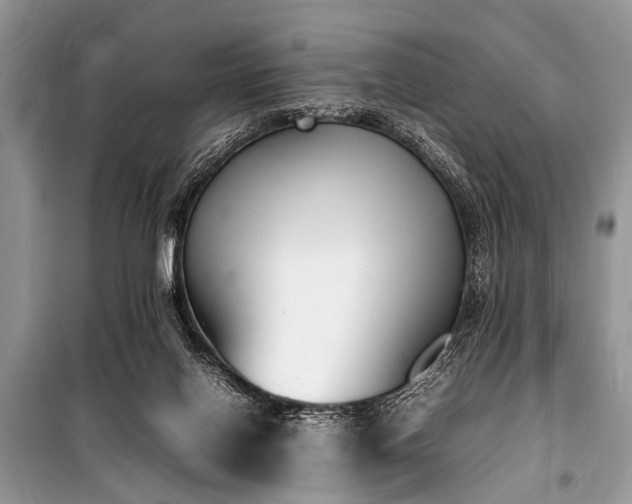 X0000100980070200806241553