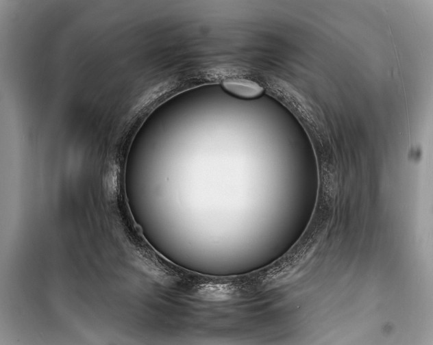 X0000100980071200806241553