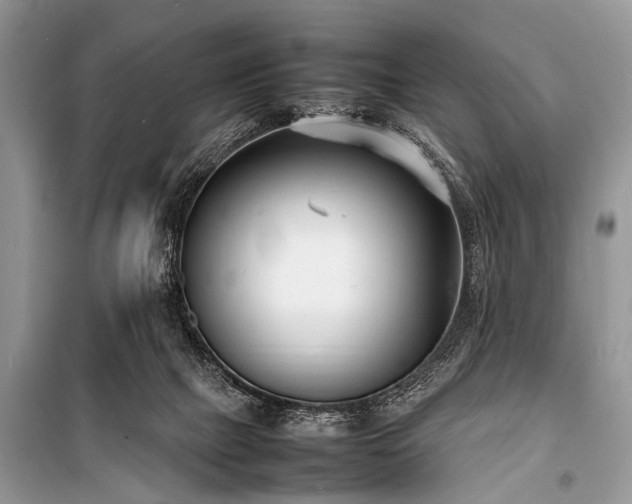 X0000100980073200806241553