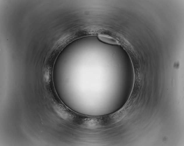 X0000100980074200806241553