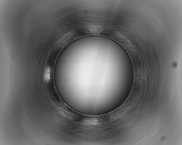 X0000100980075200806241553