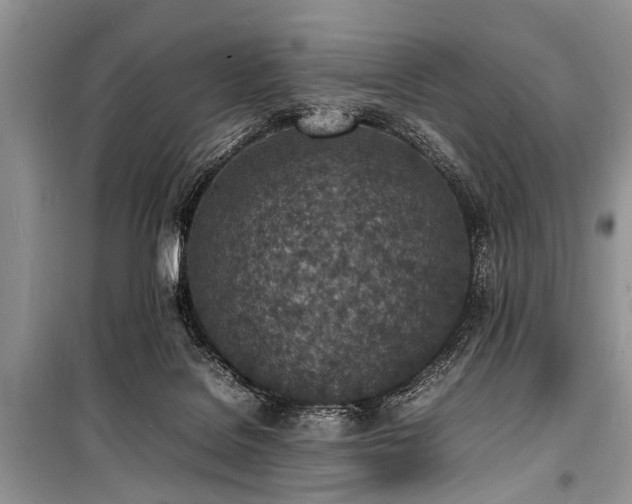 X0000100980076200806241553