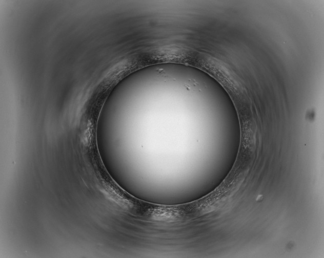 X0000100980077200806241553