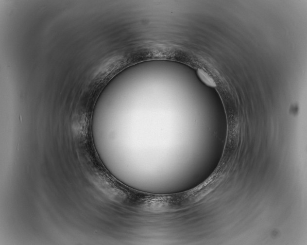 X0000100980078200806241553