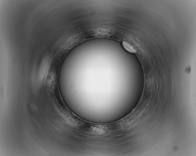 X0000100980079200806241553