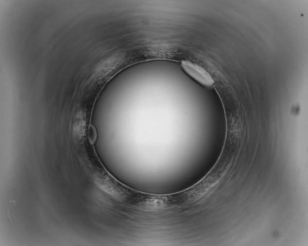 X0000100980080200806241553