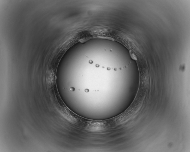 X0000100980081200806241554