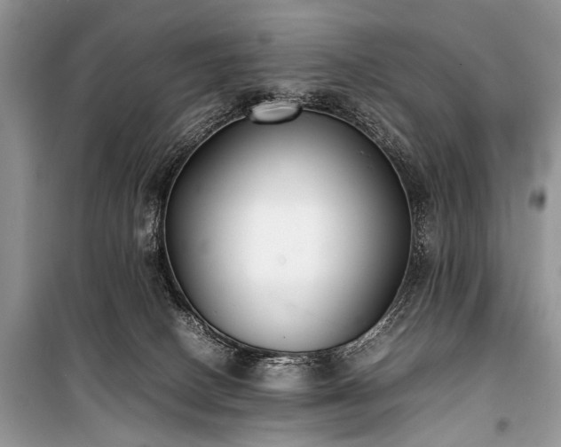 X0000100980082200806241554