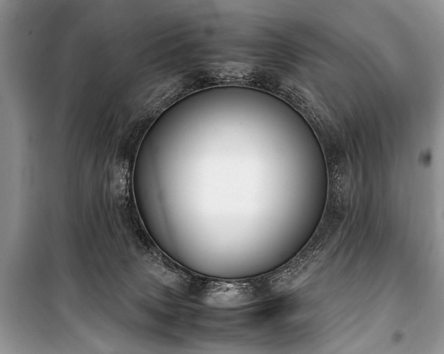 X0000100980083200806241554