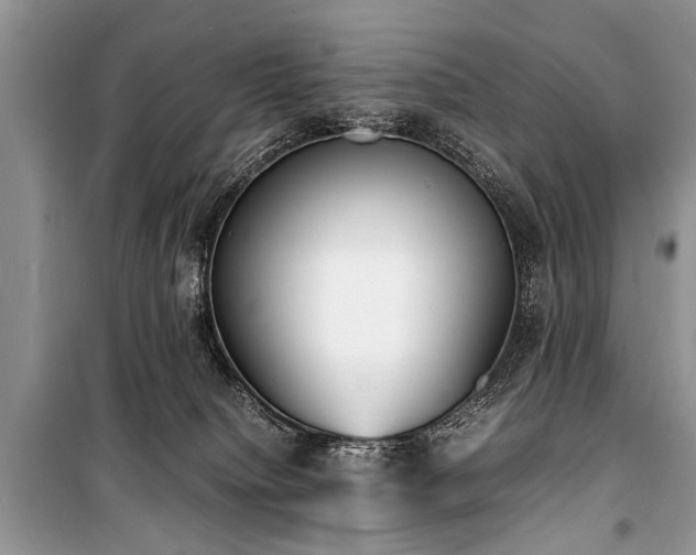 X0000100980084200806241554