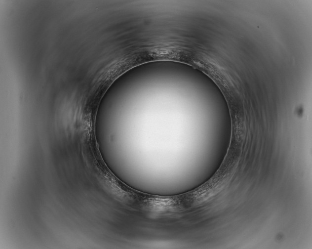 X0000100980085200806241554