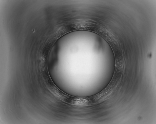 X0000100980087200806241554