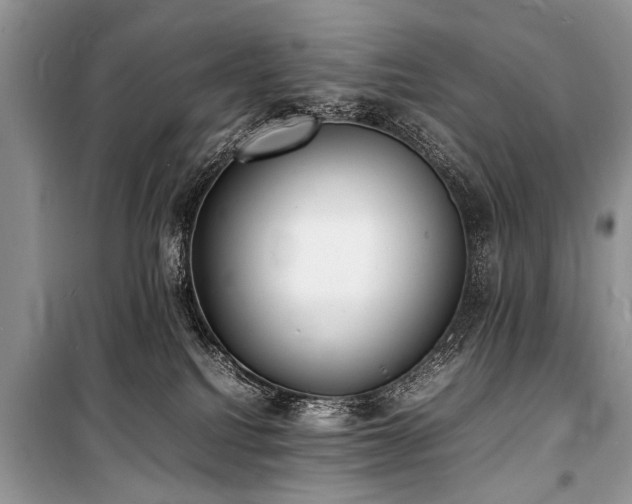 X0000100980088200806241554