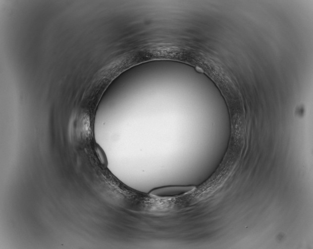 X0000100980089200806241554