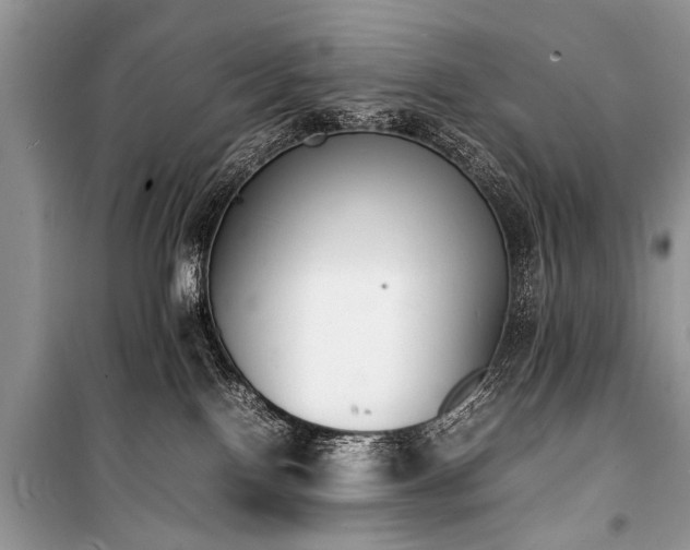 X0000100980090200806241554