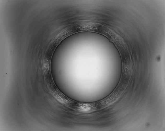 X0000100980091200806241554