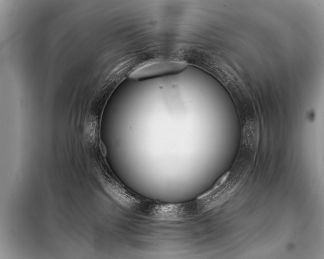 X0000100980092200806241554