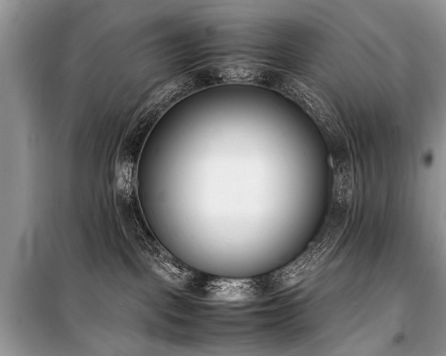 X0000100980093200806241554