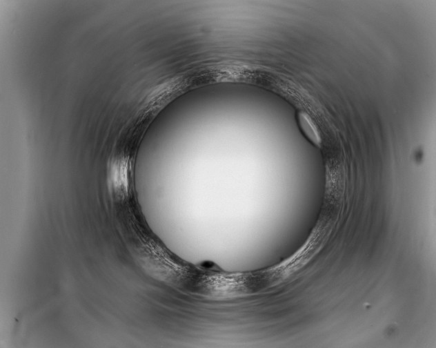 X0000100980094200806241554