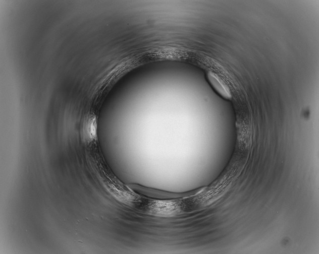 X0000100980095200806241554